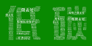 乐动邀您共享低碳“盛宴”